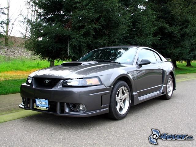 Ford Mustang, voiture