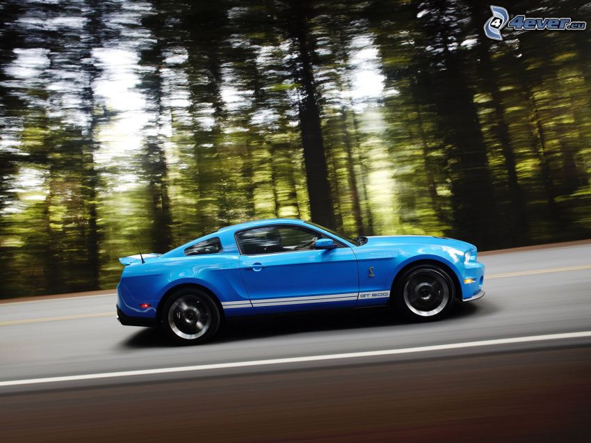 Ford Mustang Shelby, la vitesse, route