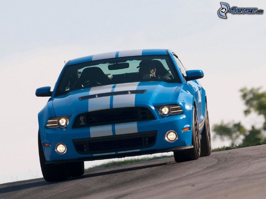Ford Mustang Shelby GT500, route