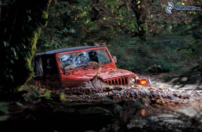 Jeep, voiture, forêt