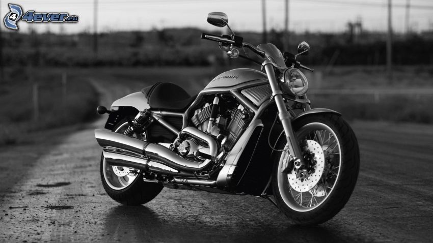 Harley-Davidson, noir et blanc