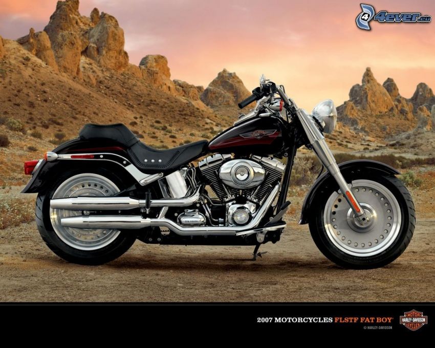 Harley-Davidson, rochers