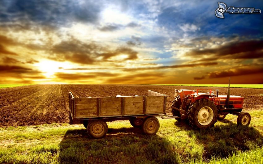 tracteur, coucher du soleil dans le champ, champ