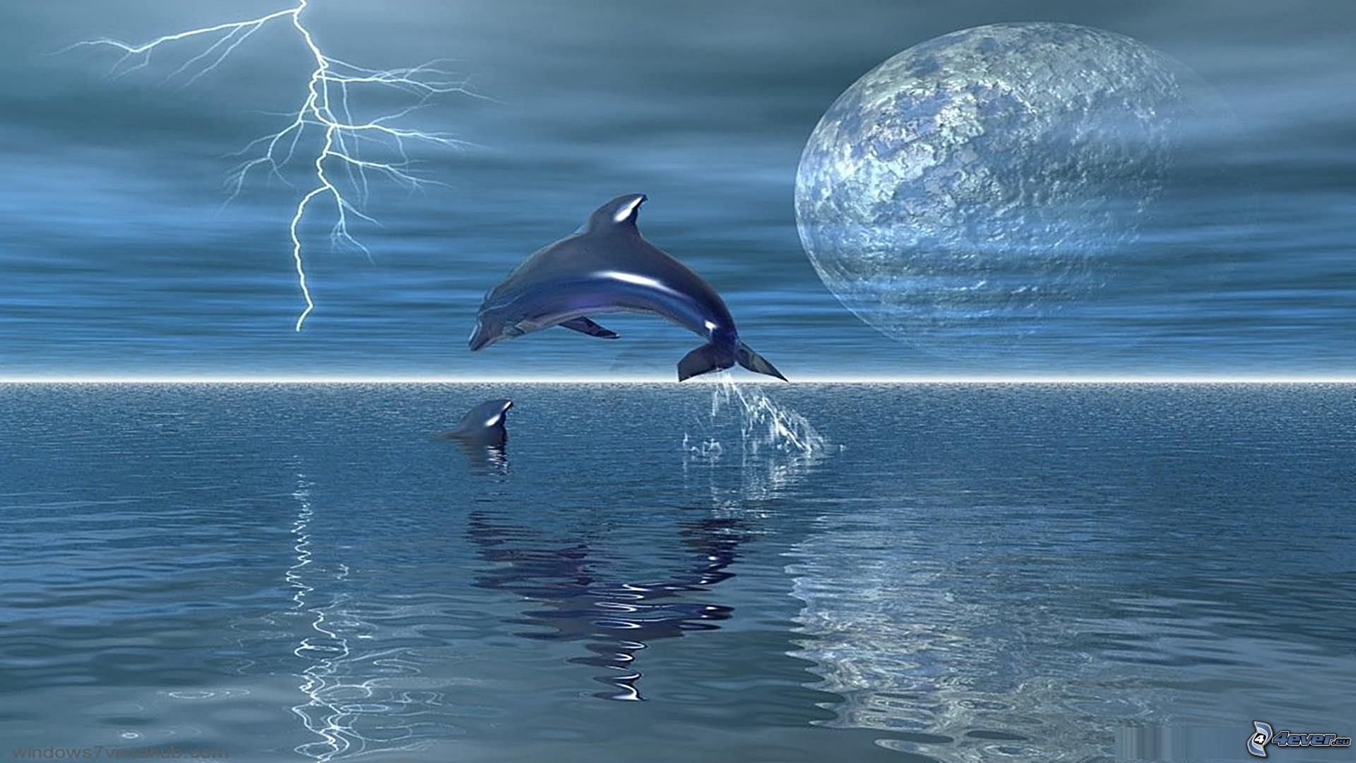 дельфины и море вертикальное