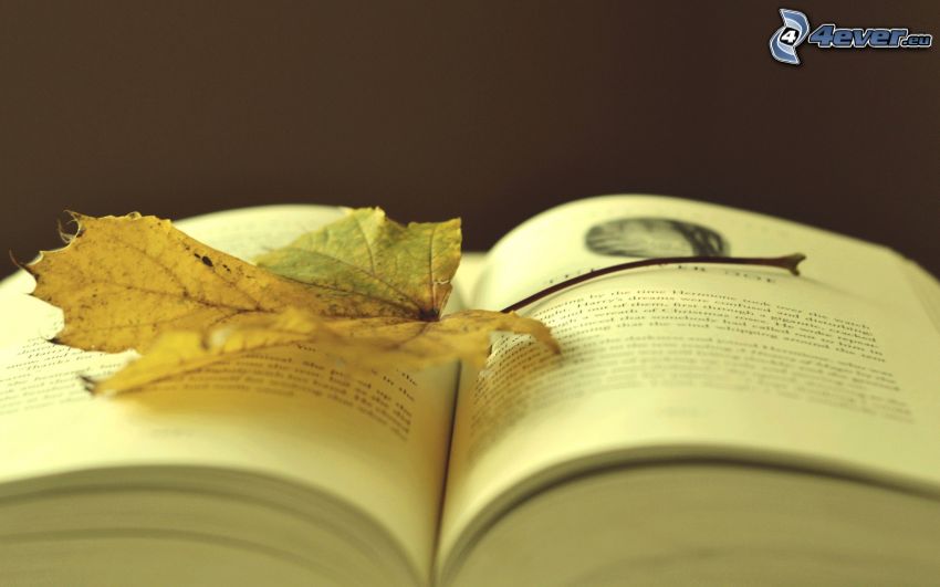 libro, foglie secche