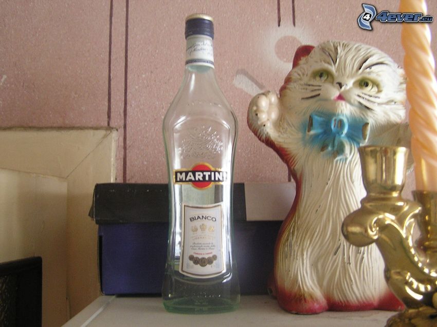 Martini, gatto, candela