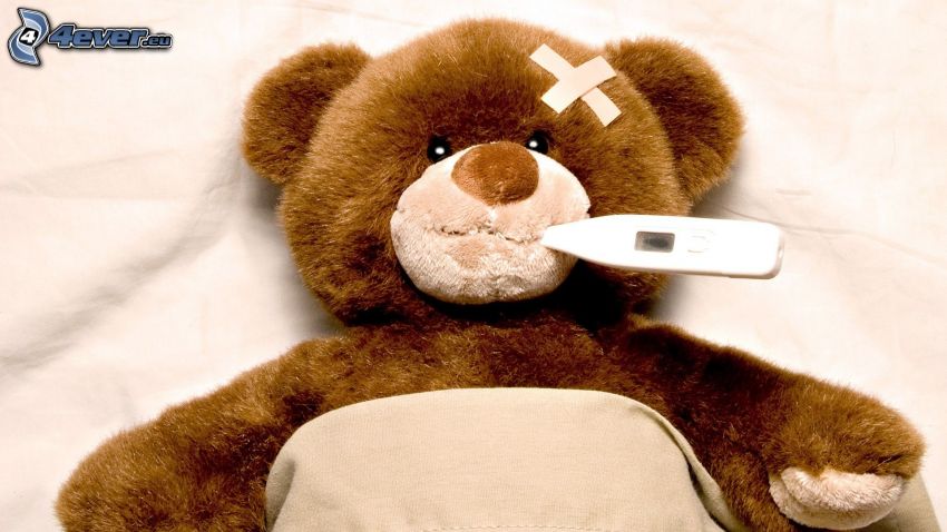 peluche teddy bear, malattia
