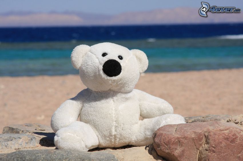peluche teddy bear, spiaggia