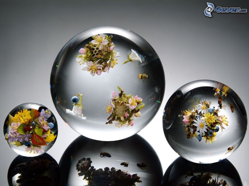 sfere di vetro, fiori