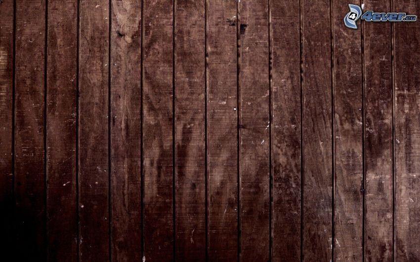 tavole, parete di legno