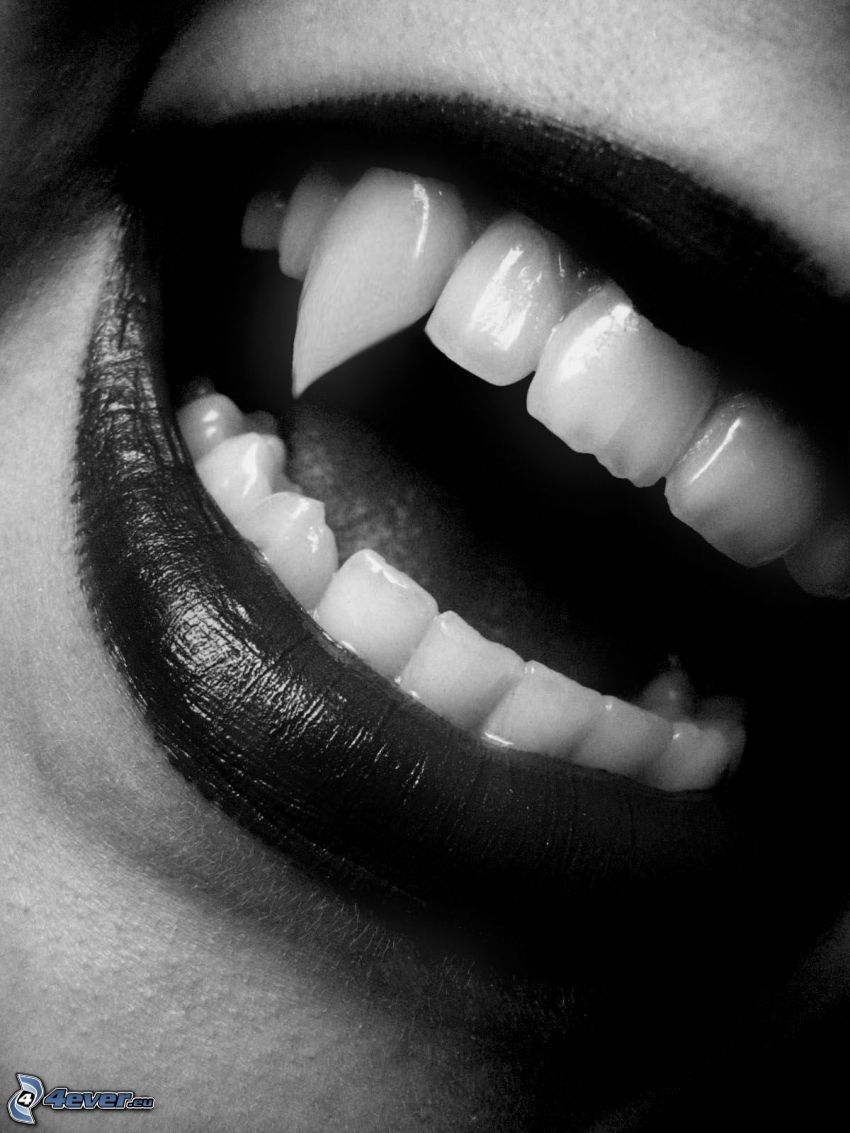 vampiro, bocca, denti
