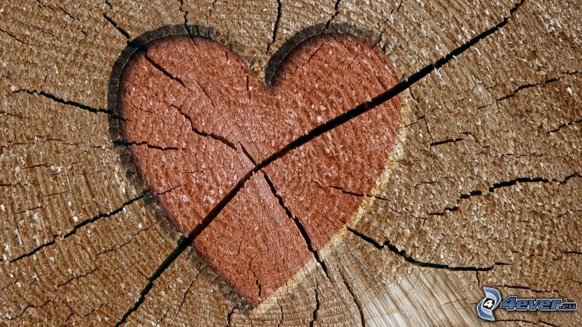 cuore, legno, crepa