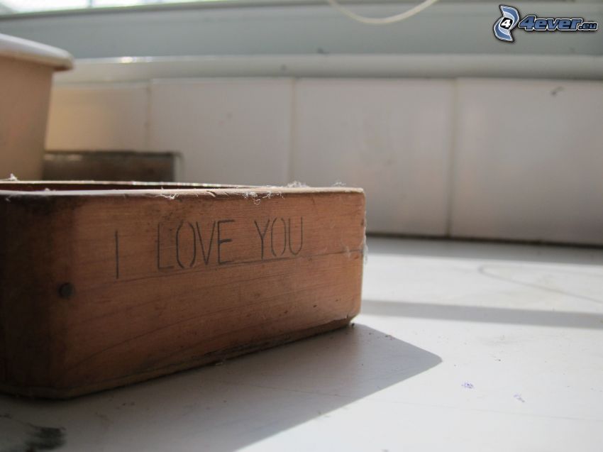 I love you, scatola