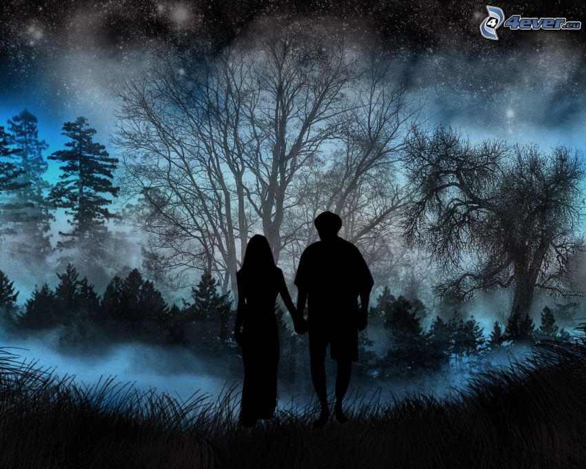 siluetta di una coppia, foresta, notte