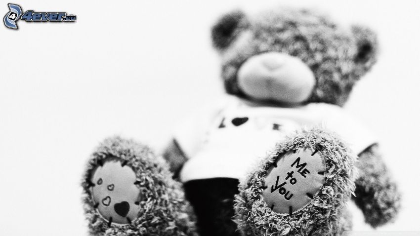 peluche teddy bear, Me to You