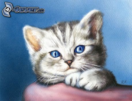 gatto disegnato, piccolo gattino grigio