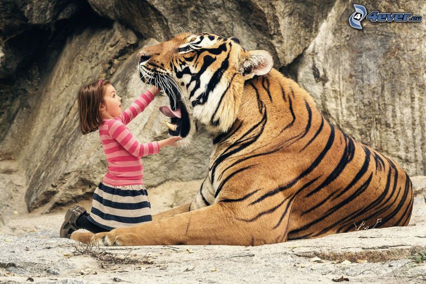 tigre, ragazza, bocca
