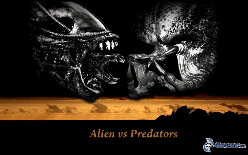 download the alien vs predator