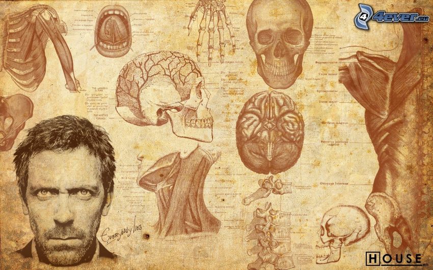 Dr. House, cervello, scheletro, corpo umano