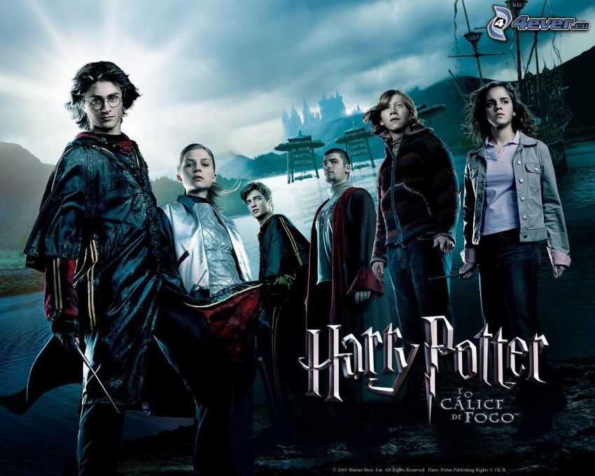 Poster Harry Potter 4 Harry Potter e Il Calice di Fuoco affiche Parete  Cinema d'autore : : Casa e cucina