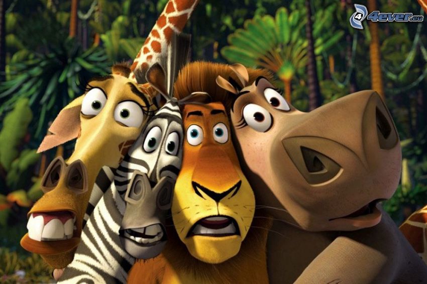 Madagascar, giraffa dal Madagascar, zebra di Madagascar, leone, ippopotamo