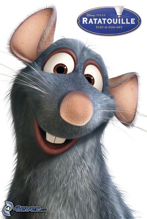 Remi, Ratatouille, ratto