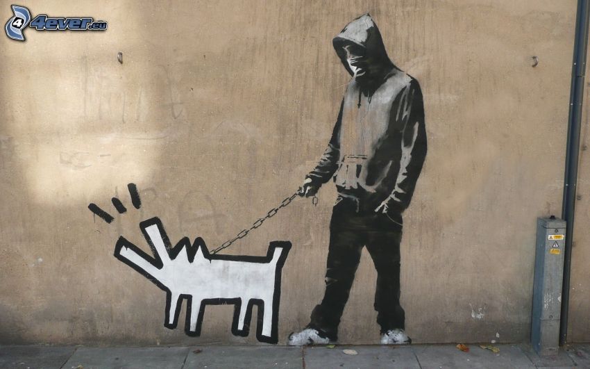 graffitismo, ragazzo, cane