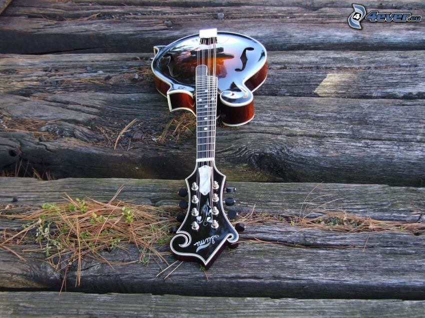 mandolino, legno