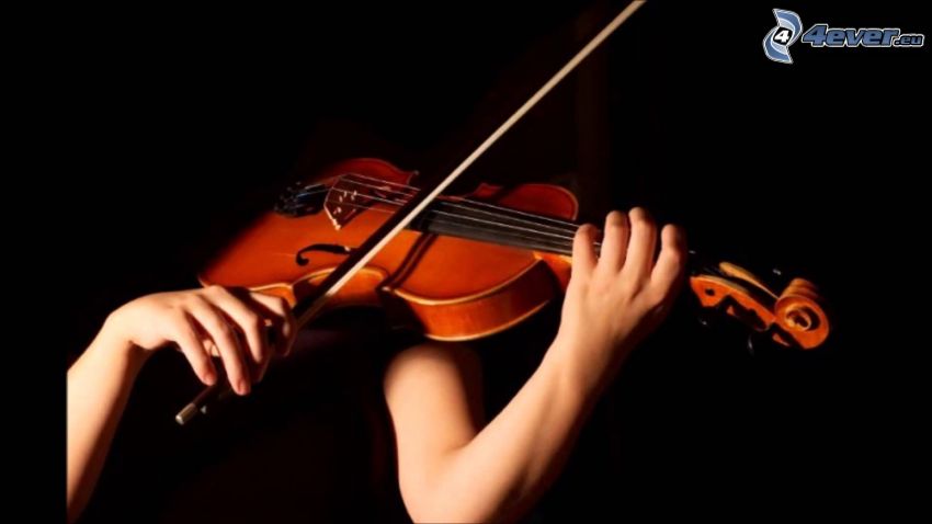 suonare il violino