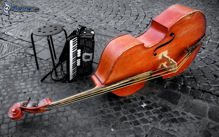 violoncello, fisarmonica