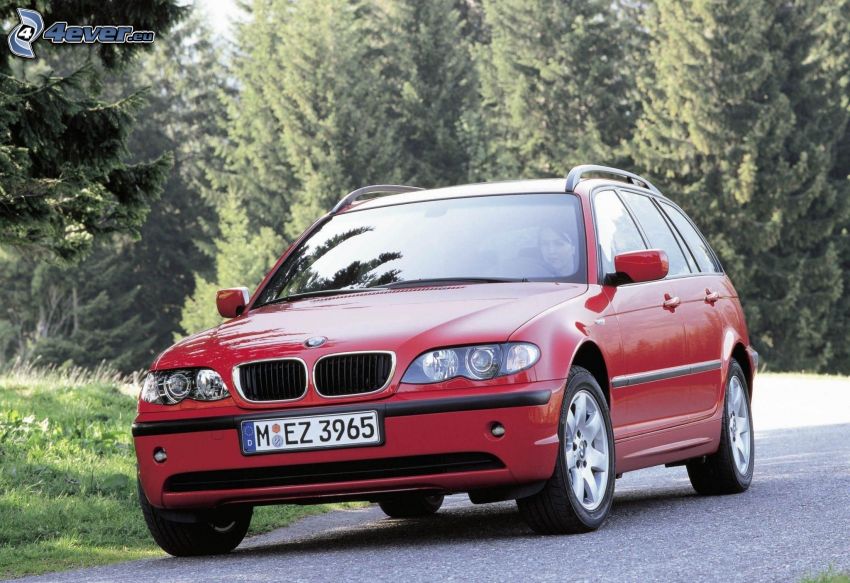 BMW 3, combi, bosco di conifere