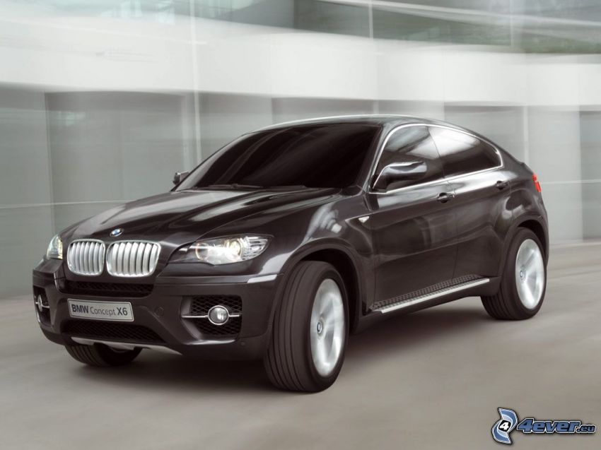 BMW Concept X6, concetto