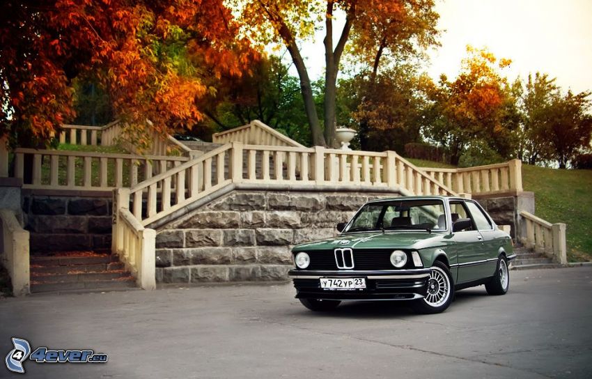 BMW E21, scale, alberi autunnali