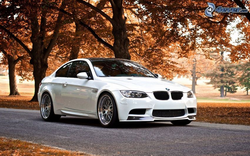 BMW M3, strada, alberi autunnali