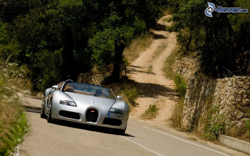 Bugatti Veyron 16.4, strada forestale, alberi