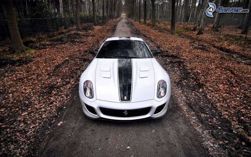 Ferrari 599 GTO, strada forestale, foglie cadute