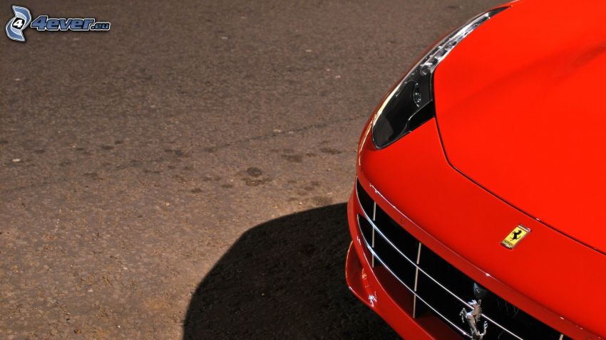 Ferrari FF, griglia anteriore, riflettore