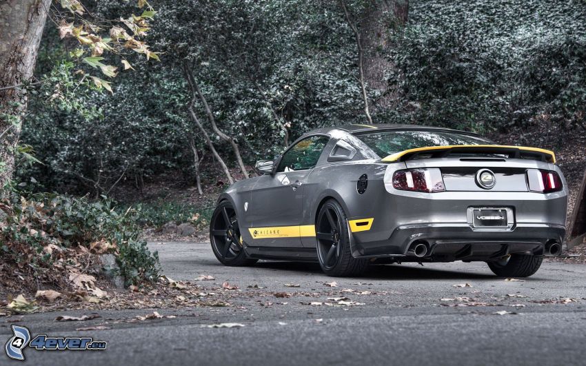 Ford Mustang Boss 302, strada forestale
