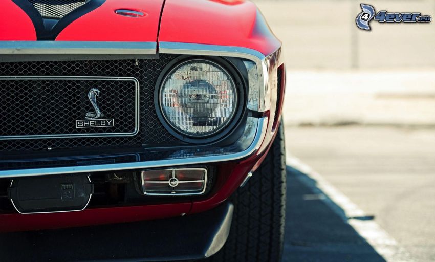 Ford Mustang Shelby, veicolo d'epoca, riflettore, griglia anteriore