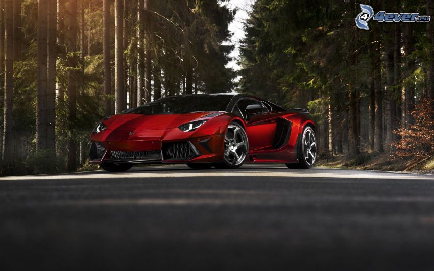 Lamborghini Aventador, bosco di conifere