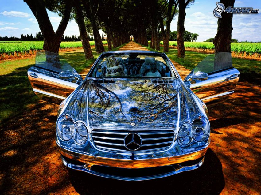 Mercedes-Benz SL55, cromo, cabriolet, strada, viale albero, piantata
