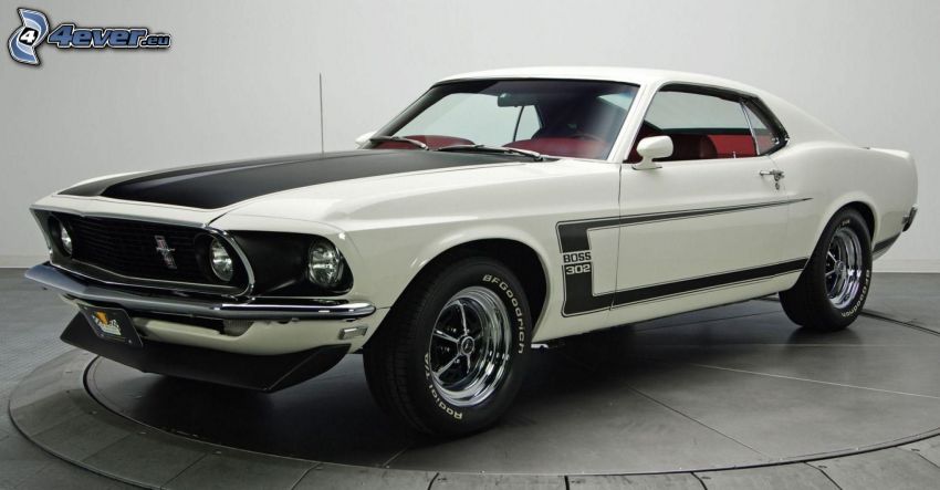 Ford Mustang Boss 302, veicolo d'epoca, mostra