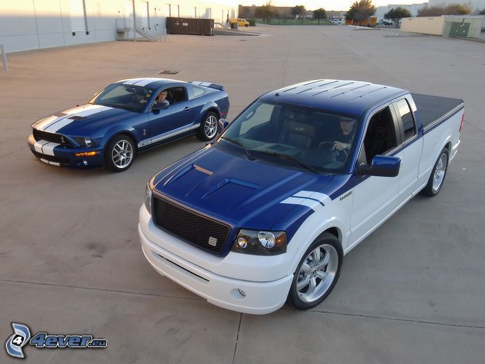 Ford Mustang Cobra, Ford