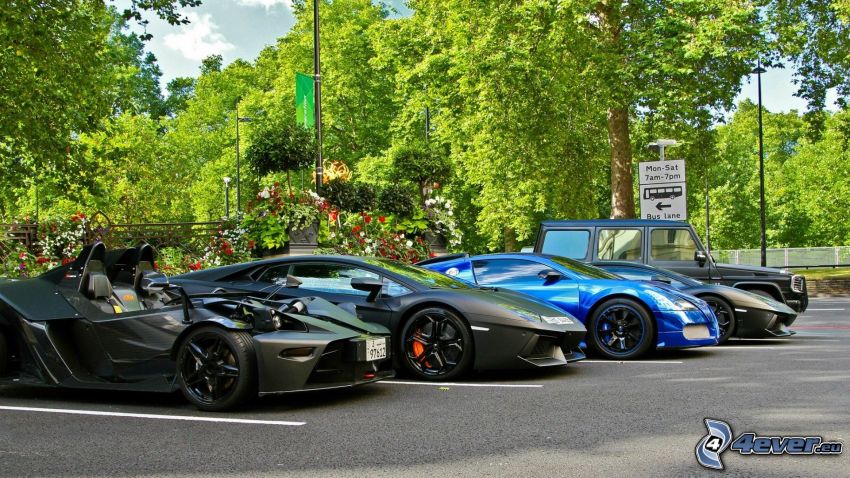 Lamborghini Aventador, parcheggio, auto, Alberi verdi