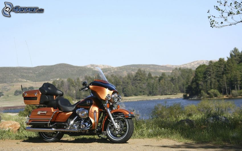 Harley Davidson Electra Glide, lago, foresta