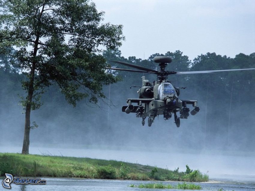 AH-64 Apache, foresta, strada