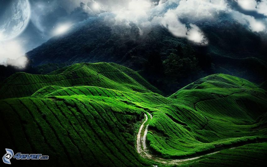 colline, sentiero attraverso la natura, nuvole, pianeta