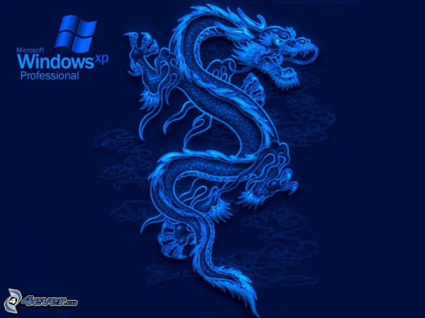drago blu, Windows XP, sfondo