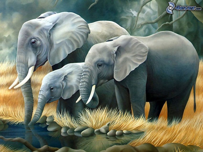elefanti, cucciolo, laghetto, pittura