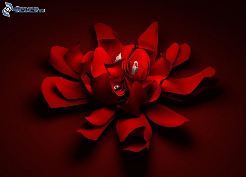 fiore rosso